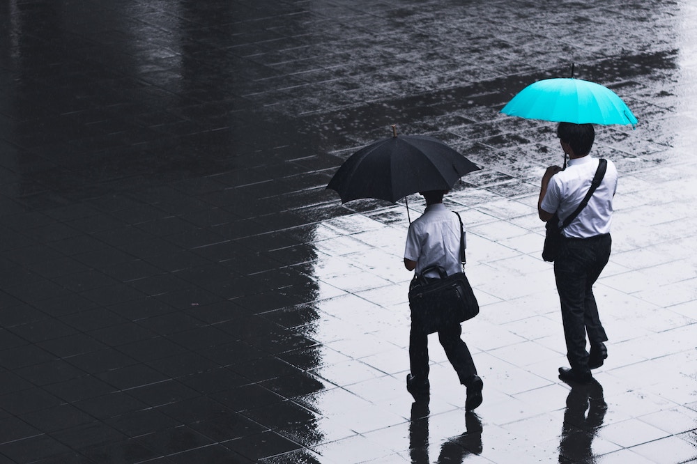 two men with umbrellas walking