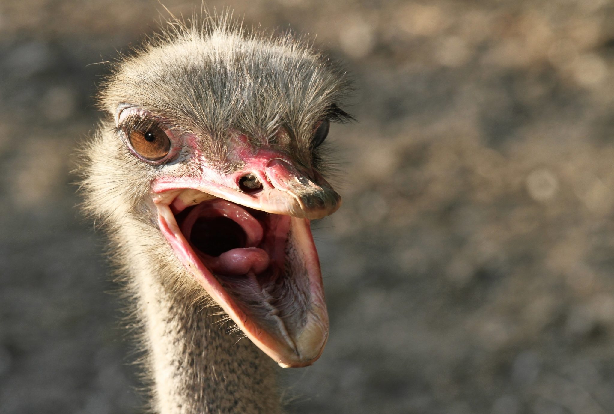 How To Cancel Liberty Mutual Insurance Heritage